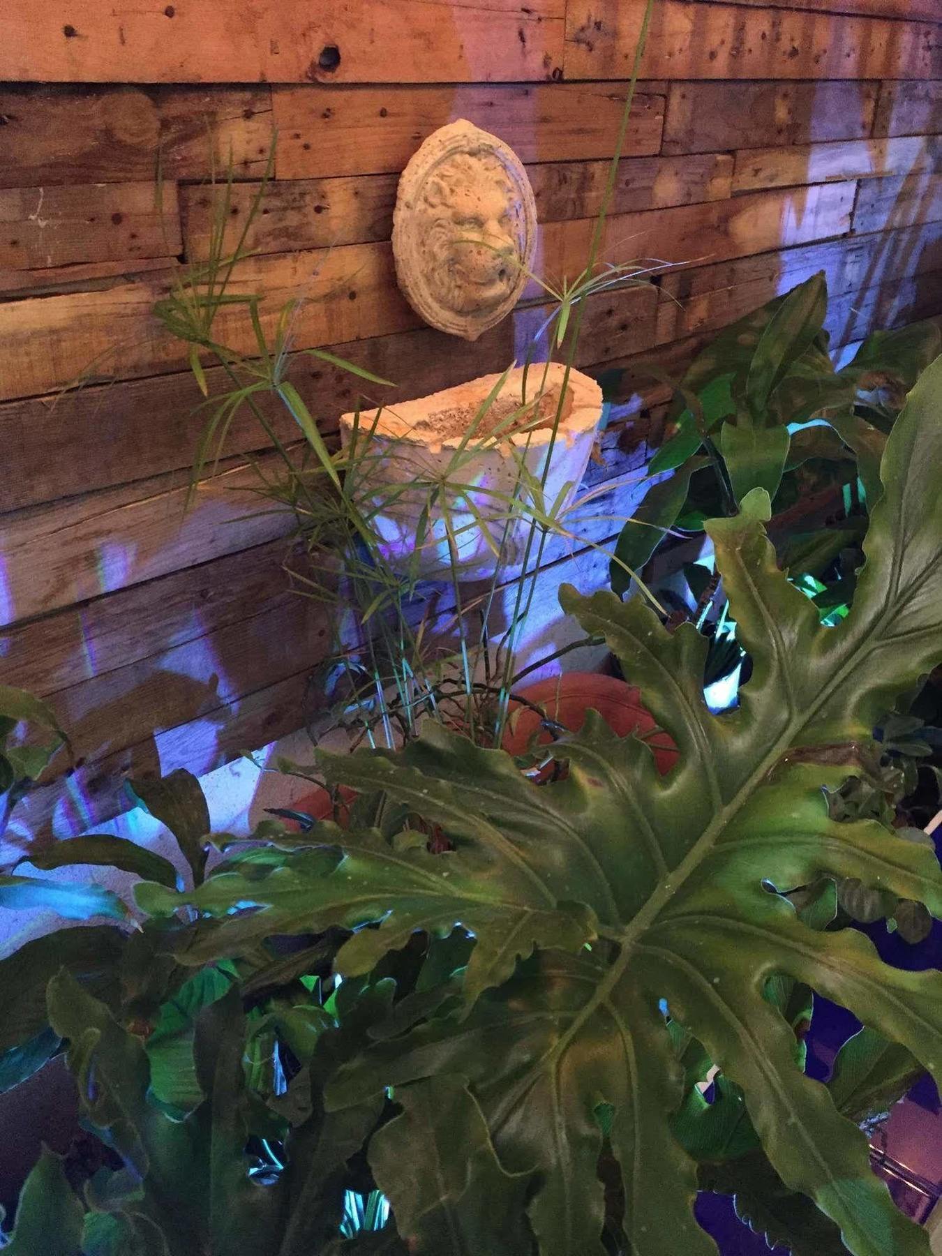 Jardines Del Teatro Ξενοδοχείο Σάντο Ντομίγκο Εξωτερικό φωτογραφία