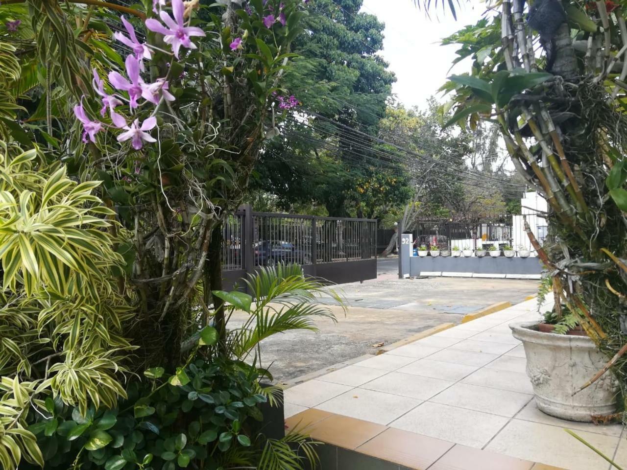 Jardines Del Teatro Ξενοδοχείο Σάντο Ντομίγκο Εξωτερικό φωτογραφία